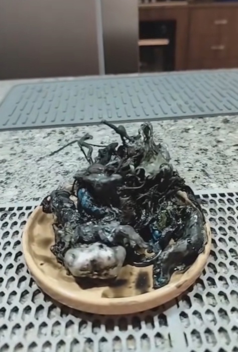 ไวรัลฮือฮา หนวดประหลาดงอกจากหินอุกกาบาต