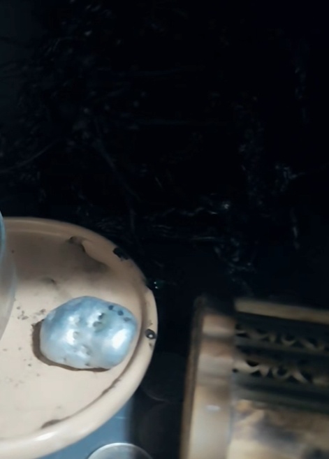 ไวรัลฮือฮา หนวดประหลาดงอกจากหินอุกกาบาต