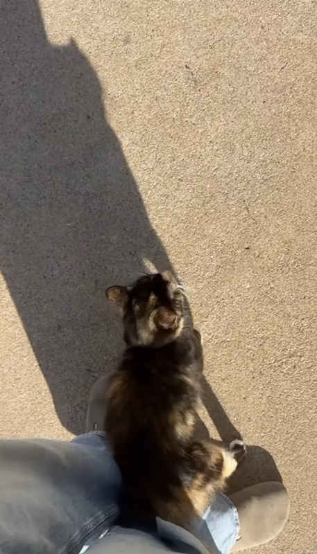 โน้ตหน้าประตูบ้าน