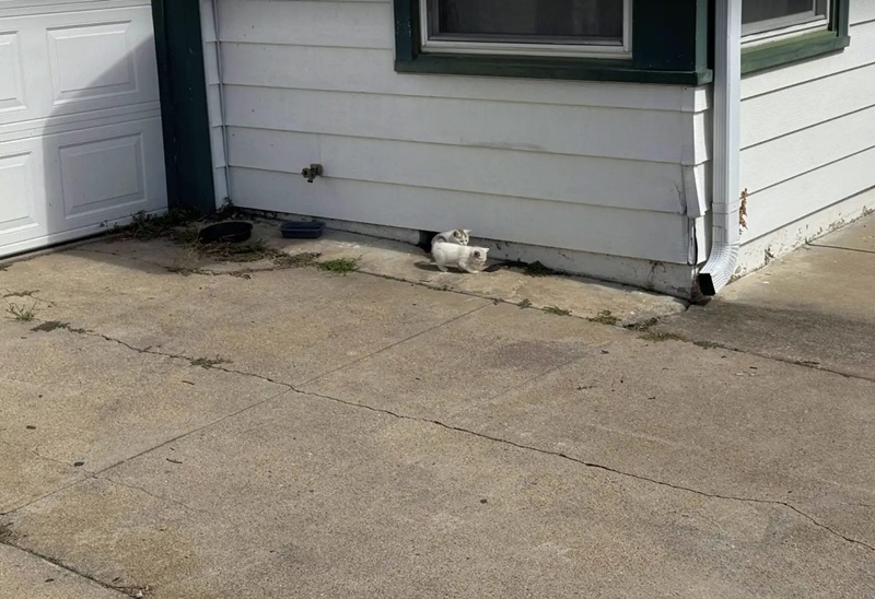 โน้ตหน้าประตูบ้าน