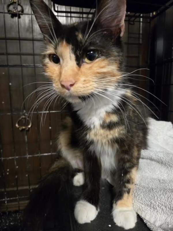 โน้ตหน้าประตูบ้าน