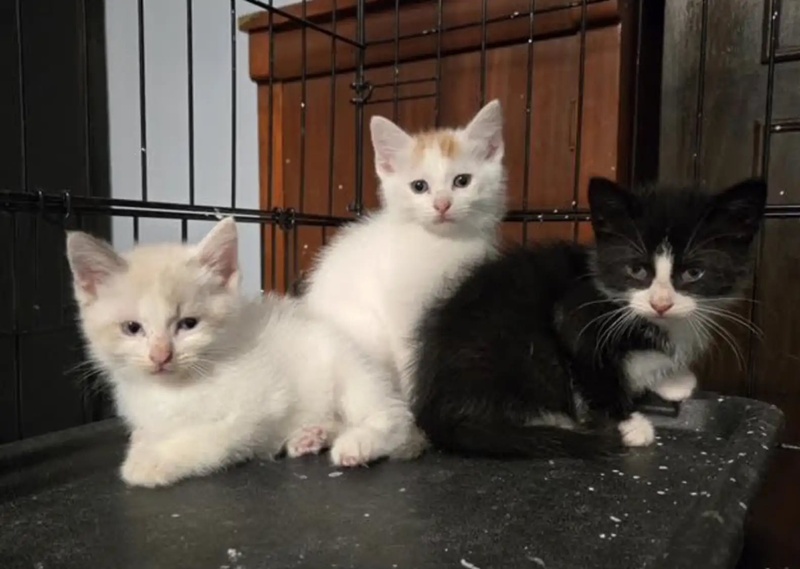 โน้ตหน้าประตูบ้าน