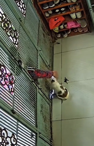 วิธีใช้แมวเก็บกุญแจ