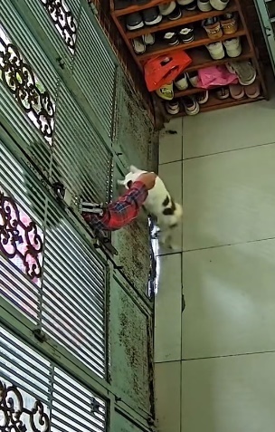 วิธีใช้แมวเก็บกุญแจ