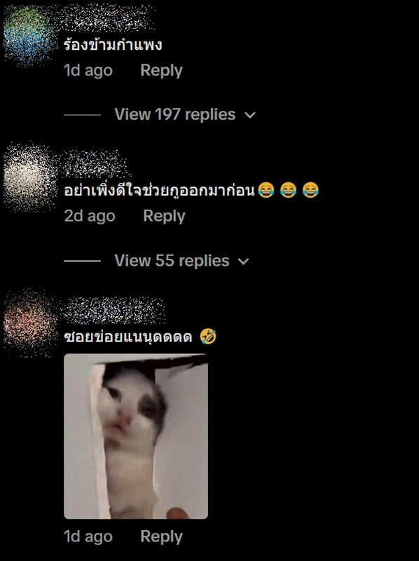 ได้ยินเสียงแมวร้องมาจากร้านข้าง ๆ