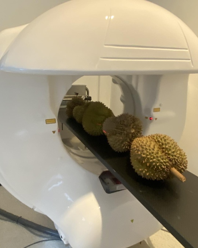 CT Scan น้องทุเรียน