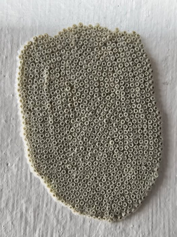 หนุ่มเจอไข่ปริศนาติดผนังบ้าน