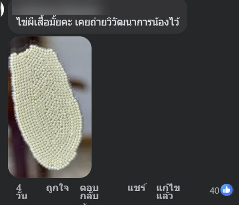 หนุ่มเจอไข่ปริศนาติดผนังบ้าน