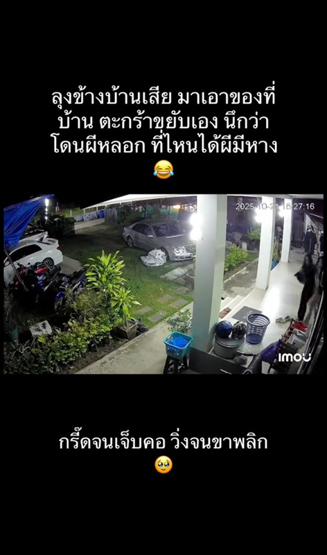 สาวกรี๊ดลั่น ตระกร้าขยับเอง