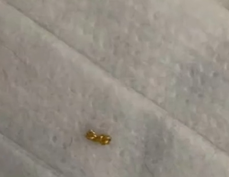 เด็ก 8 ขวบ เอาทองไปแจกเพื่อน