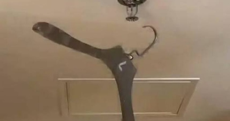 ทำน้ำท่วมโรงแรม เพราะแขวนเสื้อ