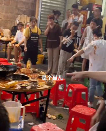 แมวตกใส่หม้อไฟ