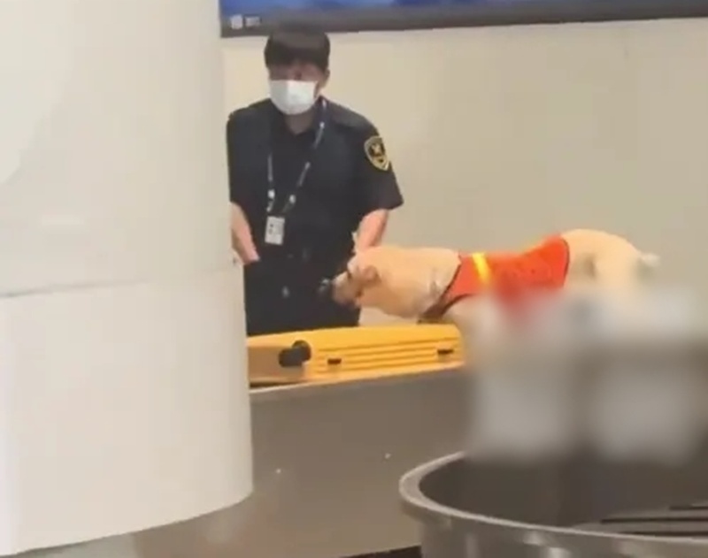 กระเป๋าต้องสงสัยในสนามบิน