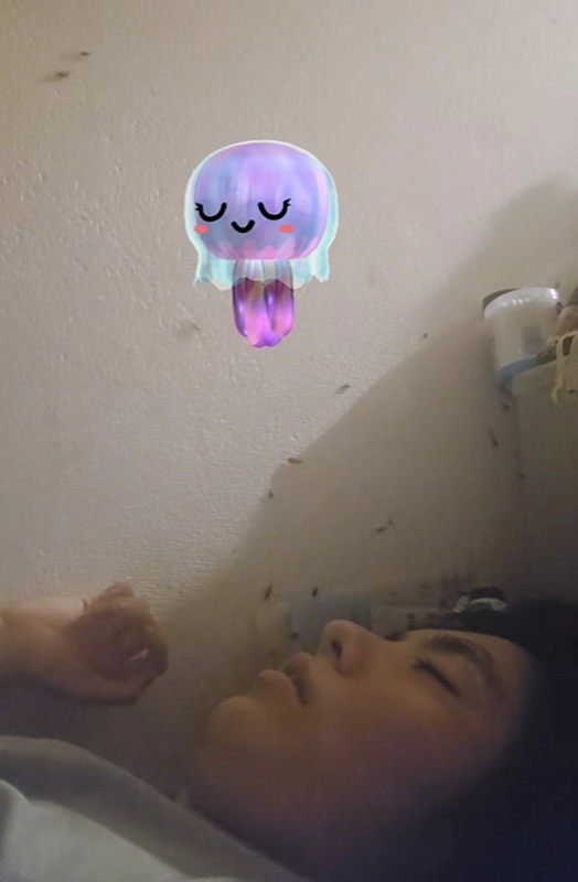 สาวคนดัง TikTok อยู่กับแมลงสาบ 3 หมื่นตัว