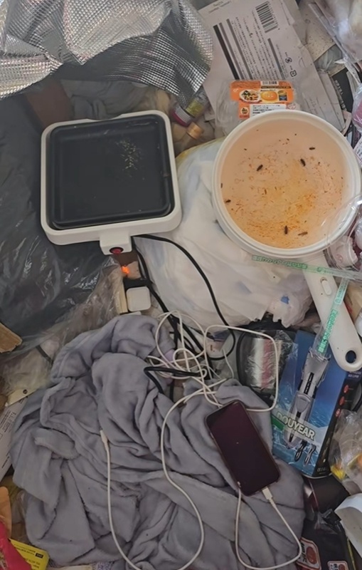 สาวคนดัง TikTok อยู่กับแมลงสาบ 3 หมื่นตัว