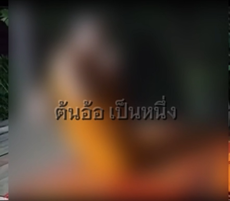 พระผู้ใหญ่ล่วงละเมิด 4 เณร