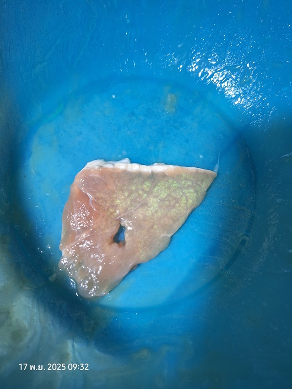 หนุ่มเจอ เนื้อหมูเรืองแสง คาใจกินได้หรือเปล่า