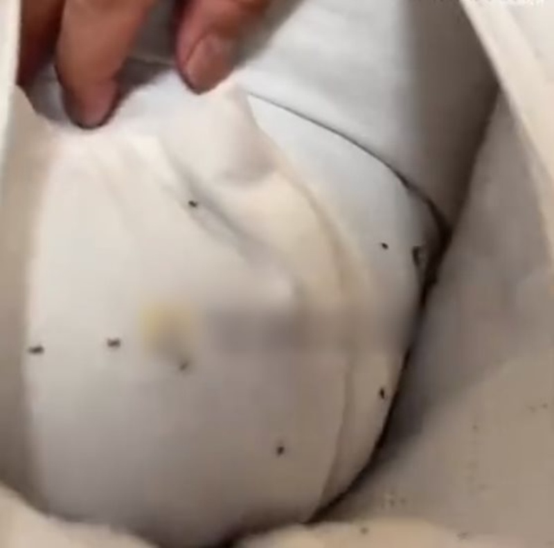 ซื้อหมอนออนไลน์ หญิงเจอความสยองบนที่นอน