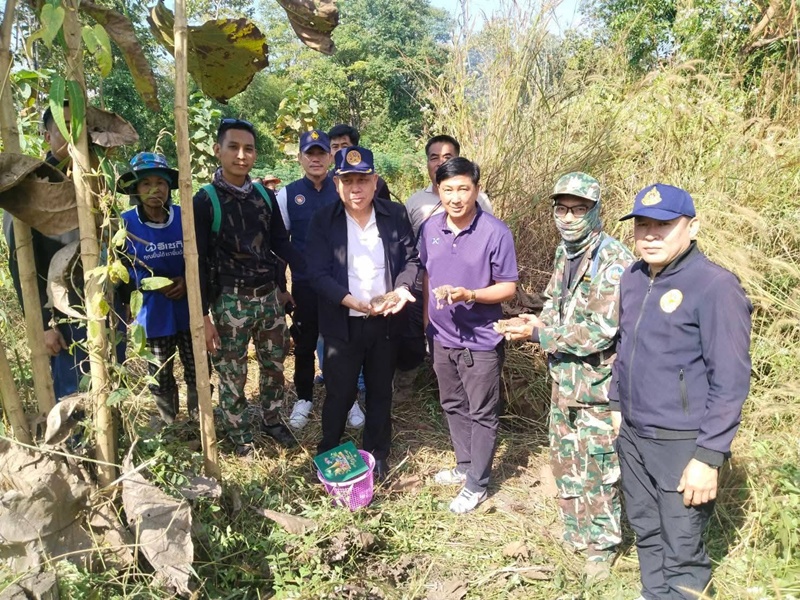 ลูกเสือปลา