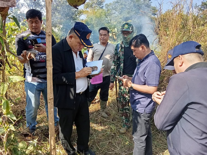 ลูกเสือปลา