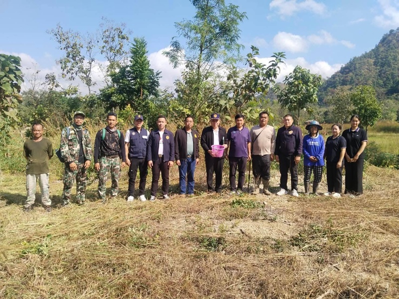 ลูกเสือปลา