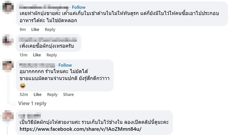 ผักบุ้ง ผักบุ้ง