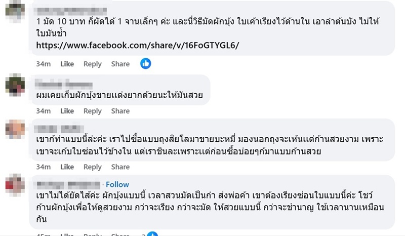 ผักบุ้ง ผักบุ้ง