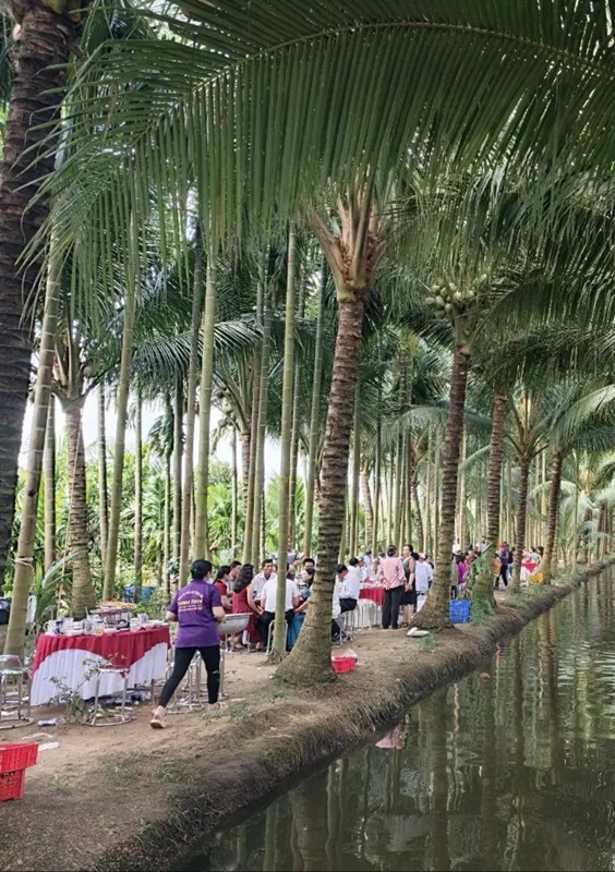 งานแต่งแบบบ้าน ๆ