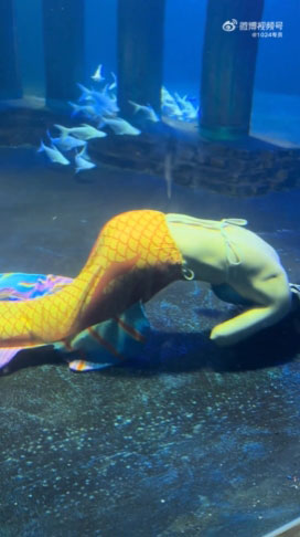 นางเงือกเป็นลม นางเงือกเป็นลม