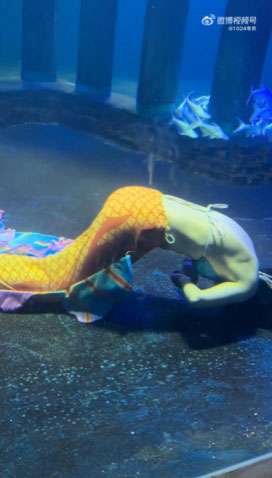 นางเงือกเป็นลม