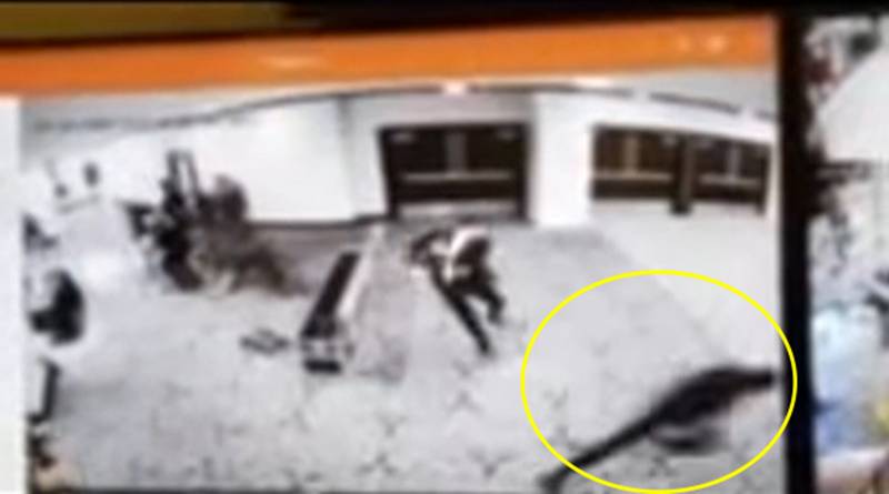 โดนัลด์ ทรัมป์