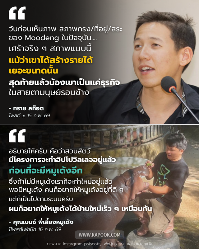 หมูเด้ง