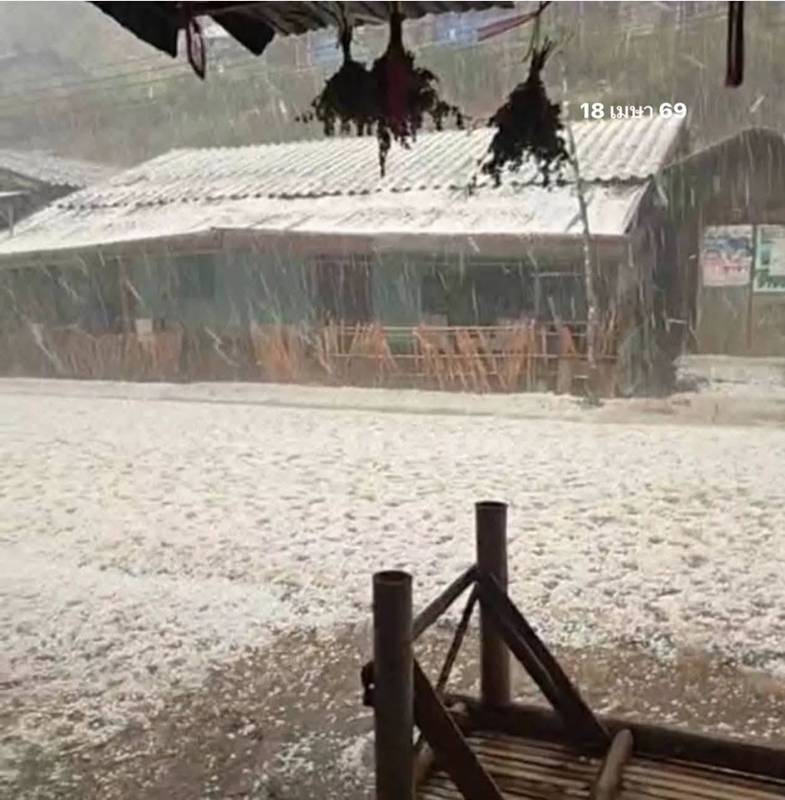 ดอยอ่างขาง ลูกเห็บตก