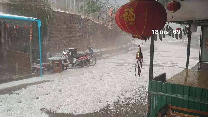 ดอยอ่างขาง ลูกเห็บตก