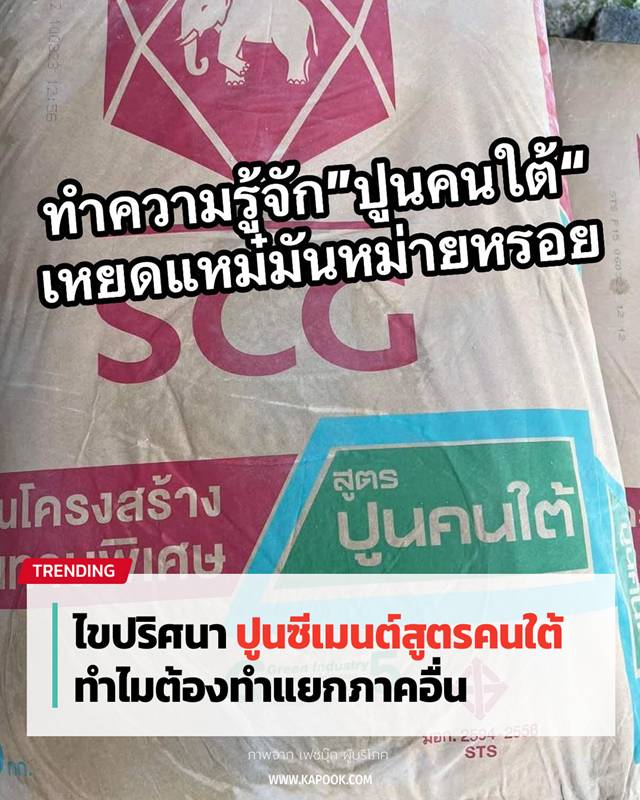 ปูนคนใต้
