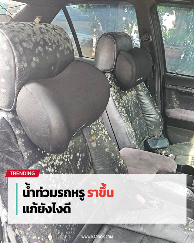 รถเชื้อราขึ้น