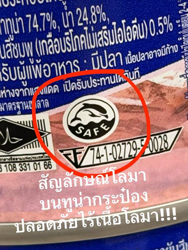 ปลาโลมา บนทูน่ากระป๋อง