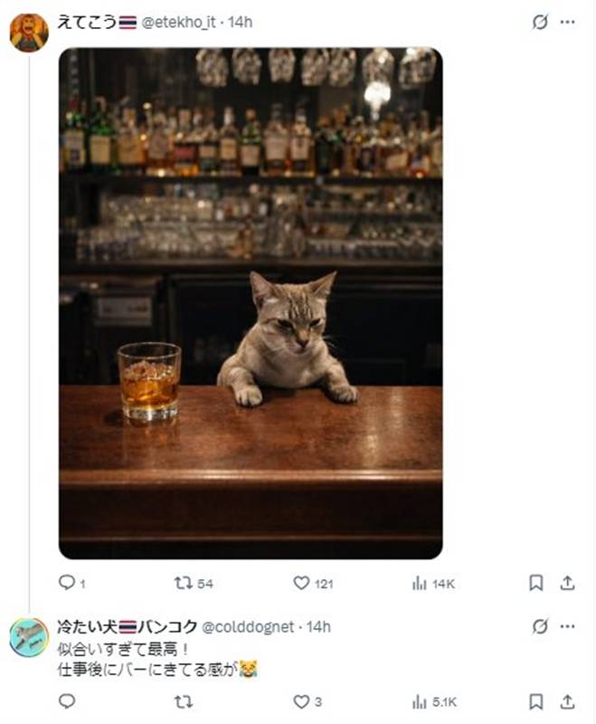 แมวสวนลุม