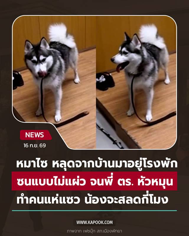 ไซบีเรียน
