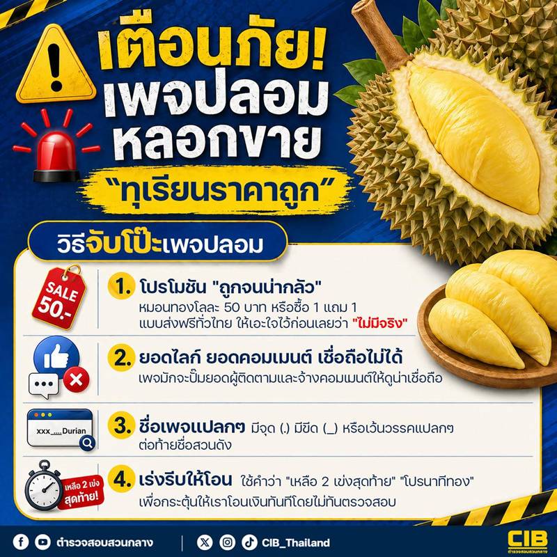 เตือนภัย ซื้อทุเรียนราคาถูก