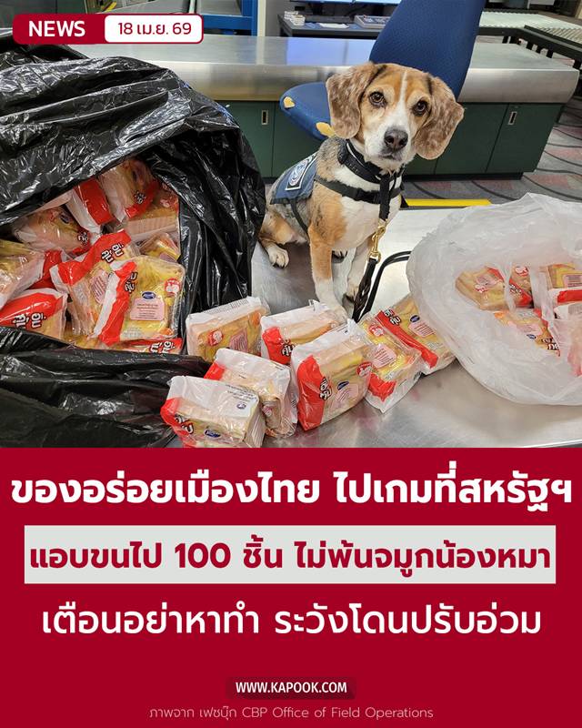 สุนัขตรวจค้น