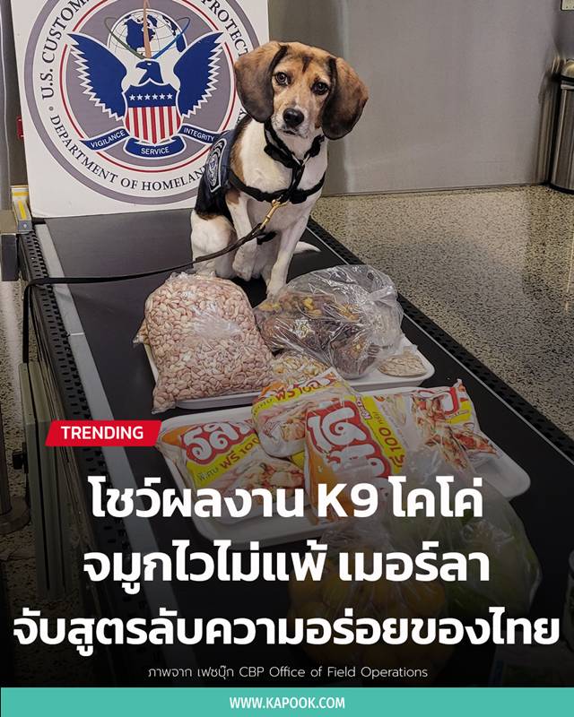 ผลงาน K9 โคโค่