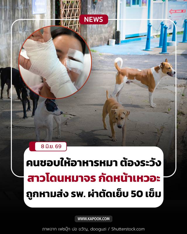 หมาจรกัด