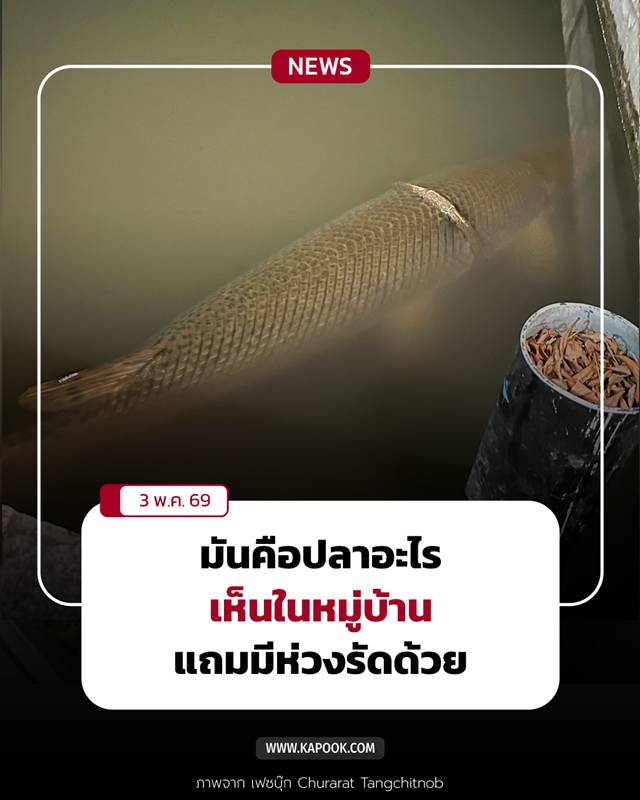 ปลายักษ์