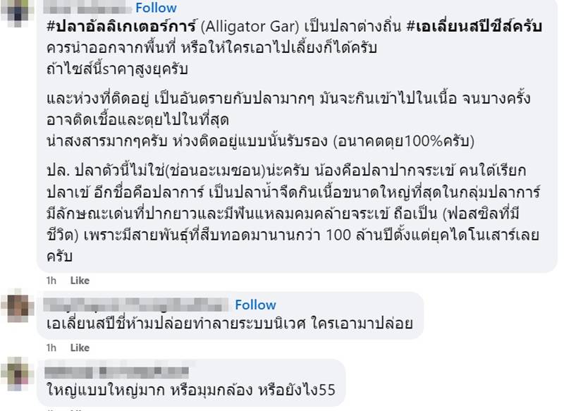 ปลายักษ์
