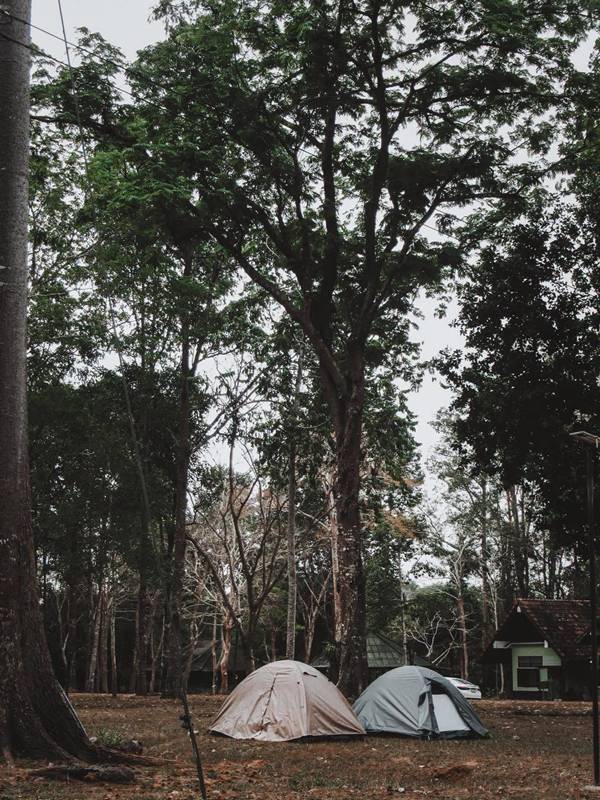 อุทยานแห่งชาติเขาชะเมา-เขาวง