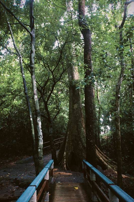 อุทยานแห่งชาติเขาชะเมา-เขาวง