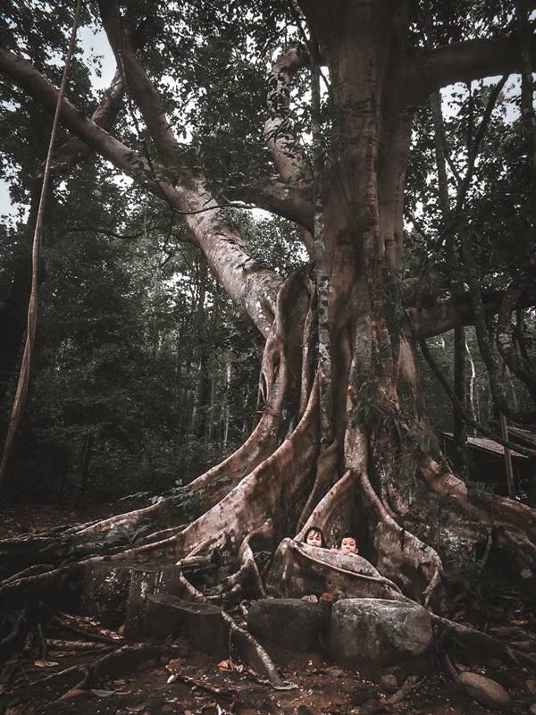 อุทยานแห่งชาติเขาชะเมา-เขาวง