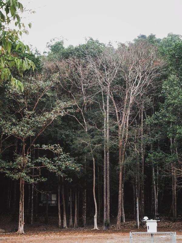 อุทยานแห่งชาติเขาชะเมา-เขาวง