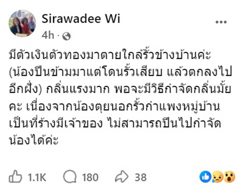 ตัวเงินตัวทอง